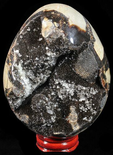 Septarian Dragon Egg Geode - Black Crystals #57391